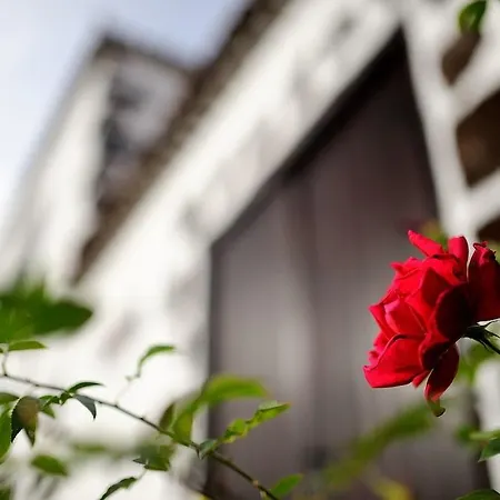 منزل ريفي Rural Jardines De Milano (adults Only) *