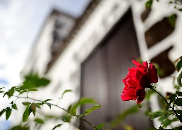 Casa de Campo Rural Jardines De Milano (adults Only) *